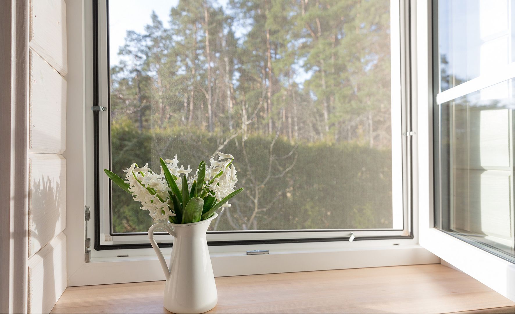 Insektenschutz für ihr Fenster